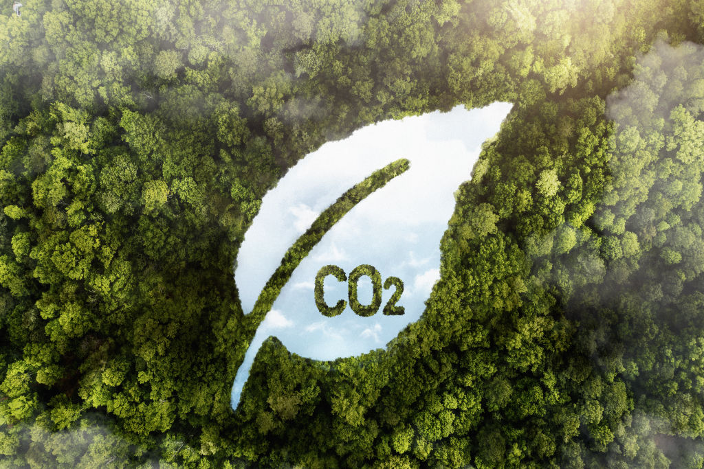 carbon footprint CO2