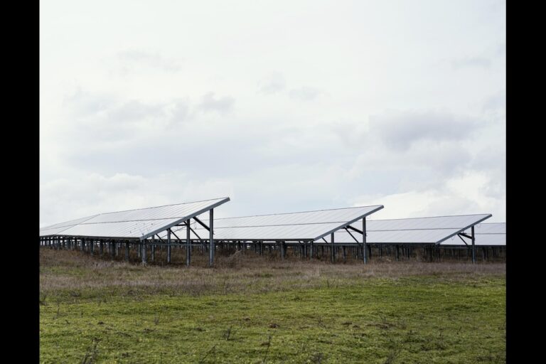 field with lots solar panels