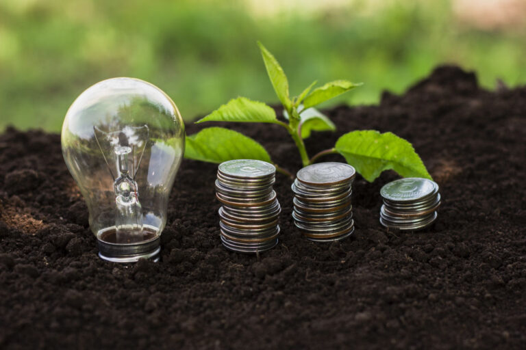 innovation, growth, and financial investment