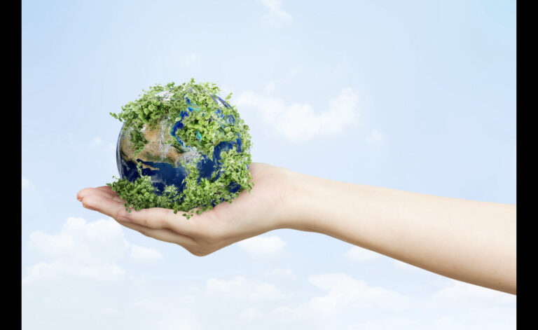 hand holding green earth